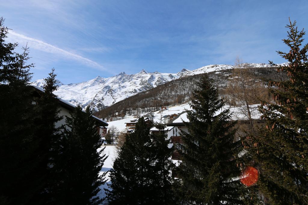 Everest Saas Fee Værelse billede